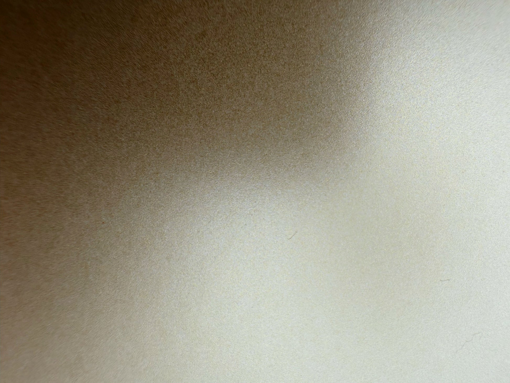 β¨ Premium boat foil in matt β The elegant solution with a premium finish - Champagne Myst Matt